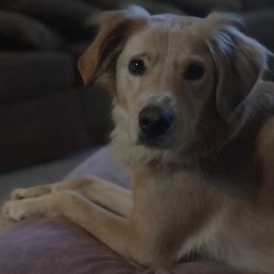 Meet your Posher, Pat